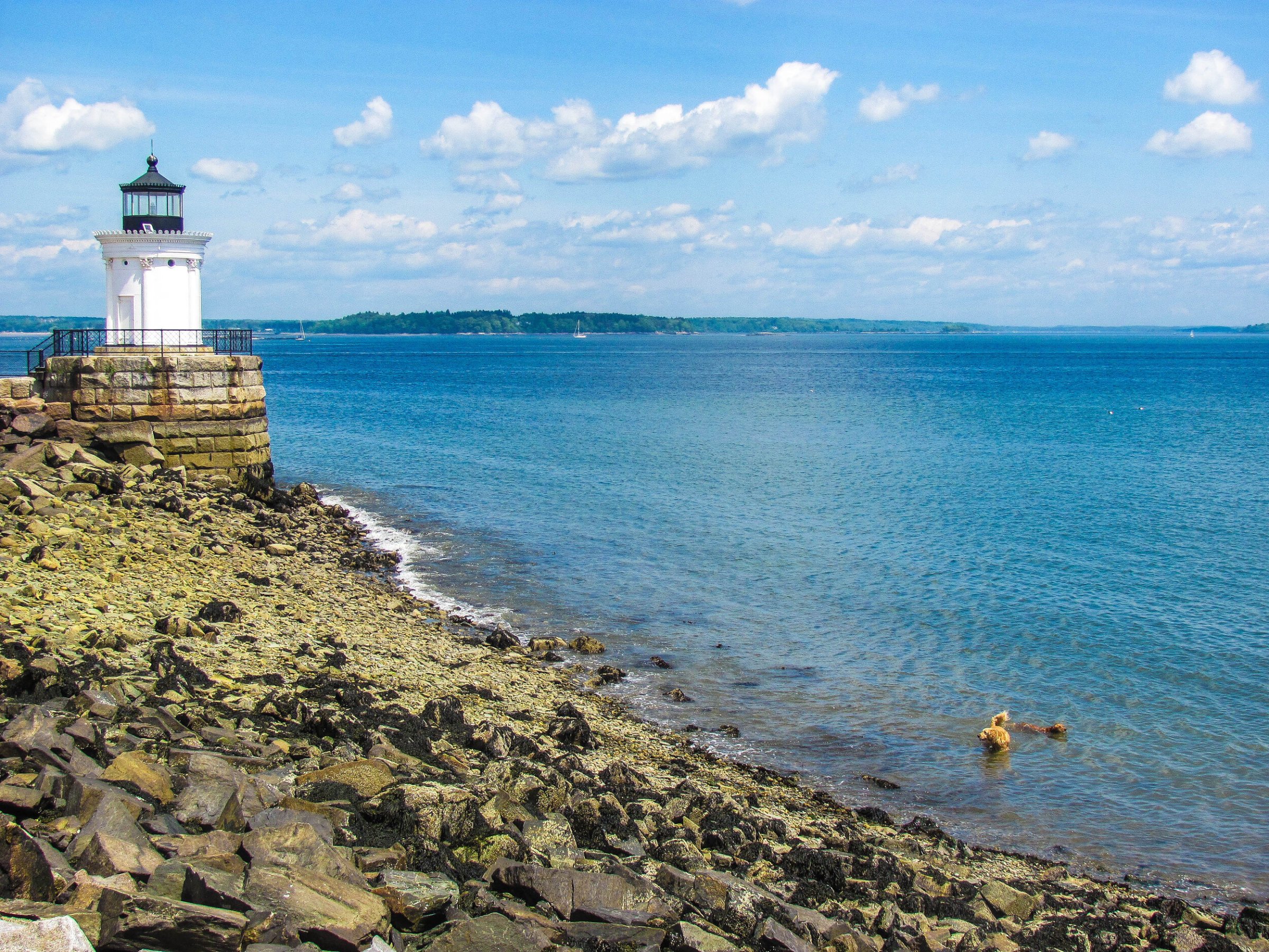 a rocky beach next to a body of water