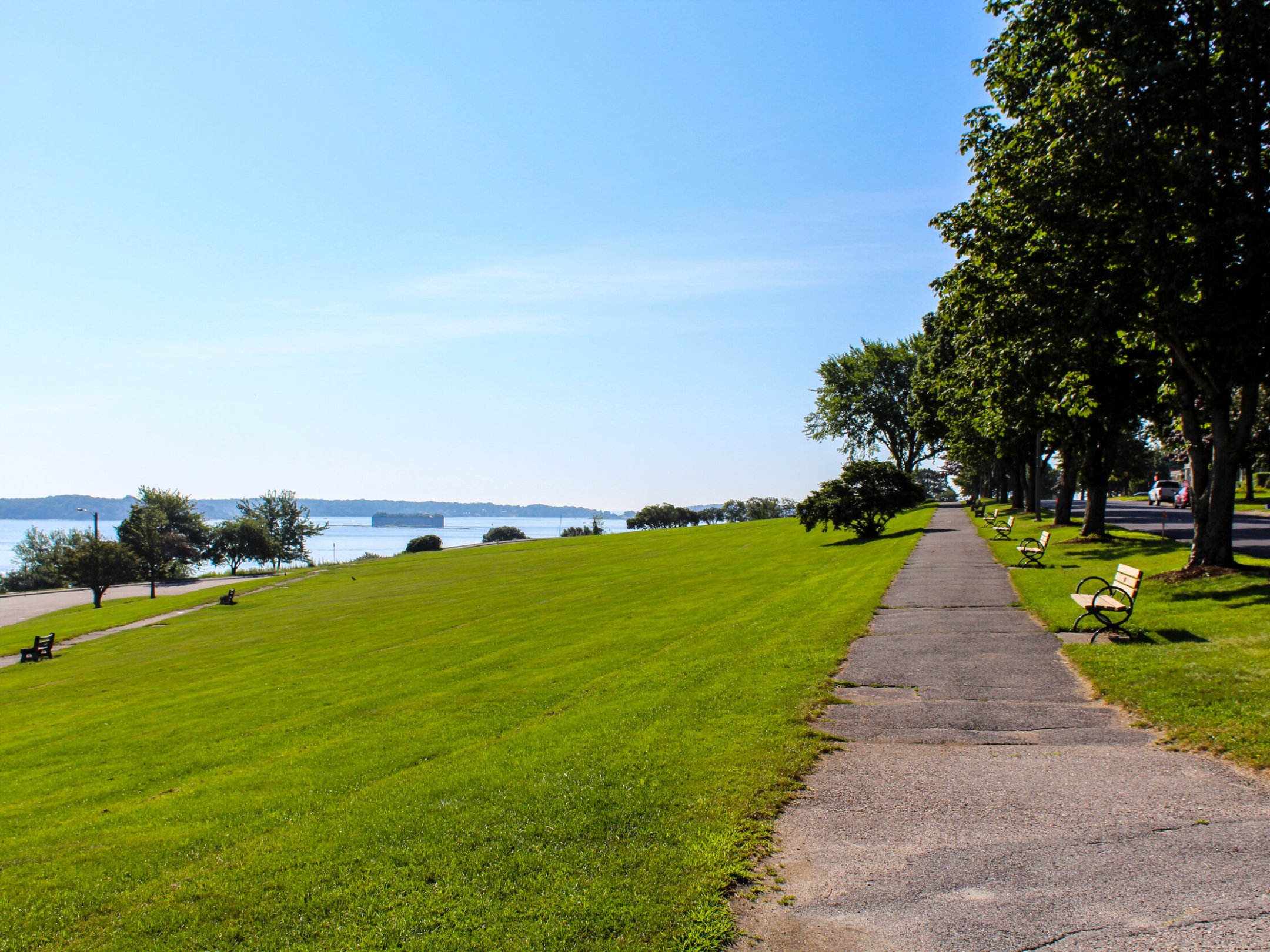 a large green field with trees in the background